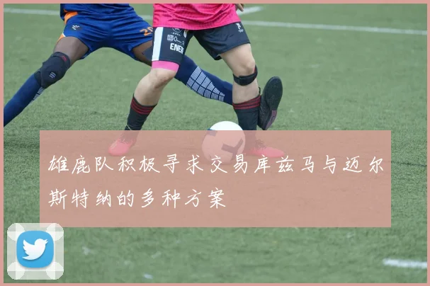 雄鹿队积极寻求交易库兹马与迈尔斯特纳的多种方案